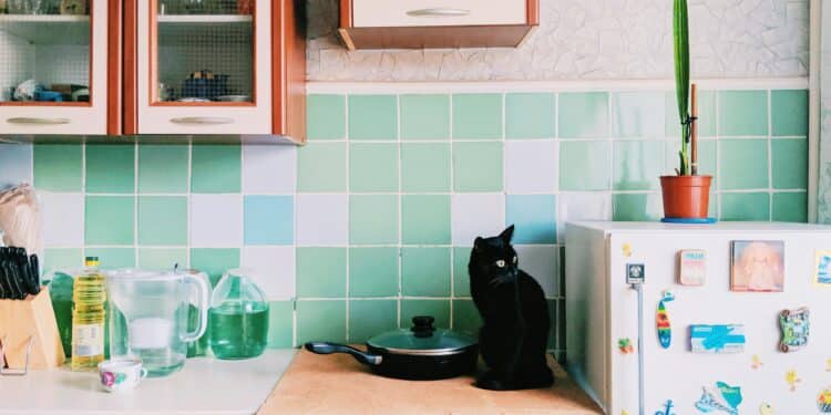 4 conseils pour gérer un frigo partagé en kot