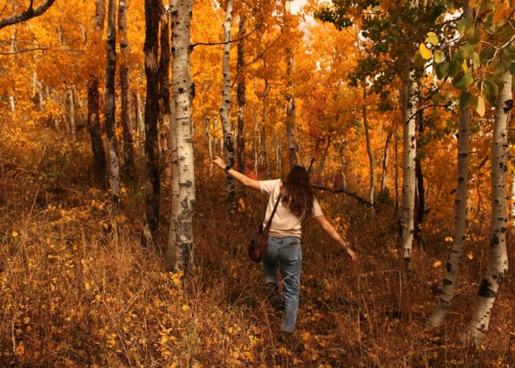 Où faire une balade d’automne à Bruxelles ?