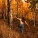 Où faire une balade d’automne à Bruxelles ?