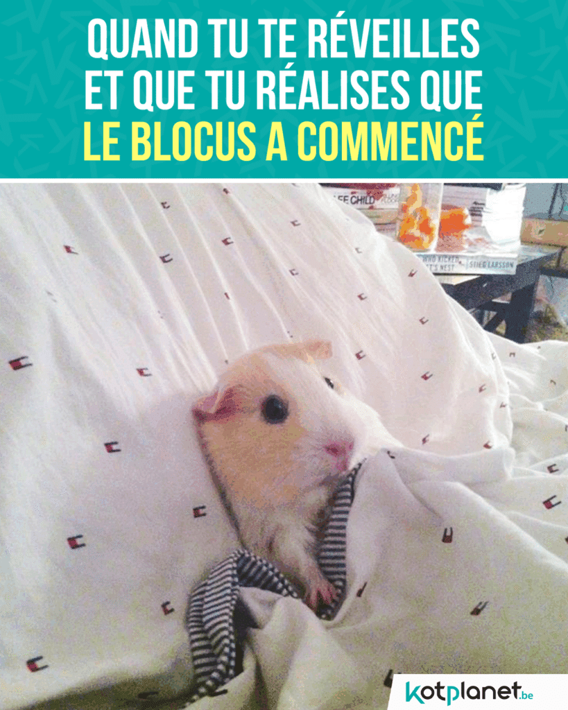 réveiller-et-se-rendre-compte-blocus-a-commencé-v2