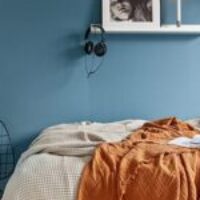 Profielfoto van Purva Northern Lights